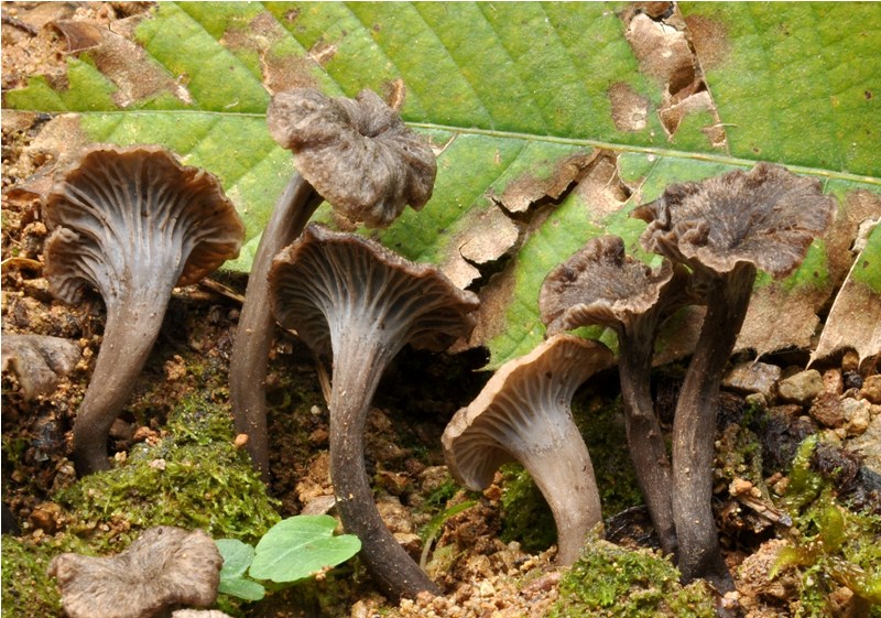 Carrellata settembrina